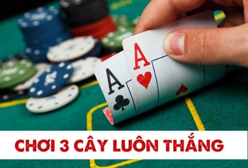 Tìm hiểu sơ lược về ba cây F8bet