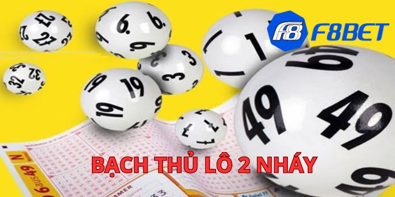 Bạch thủ lô 2 nháy - Những phương pháp đỉnh cao nhất