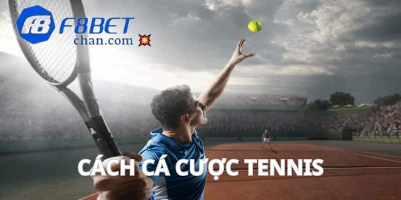 Cách cá cược tennis cơ bản nhất dành cho các tân binh