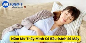 Nằm mơ thấy mình có bầu đánh số mấy để thắng lớn nhất?