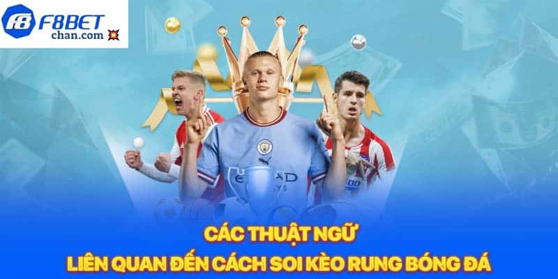 Các thuật ngữ liên quan đến cách soi kèo rung bóng đá