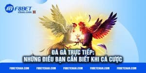 Đá gà trực tiếp: Những điều bạn cần biết khi cá cược