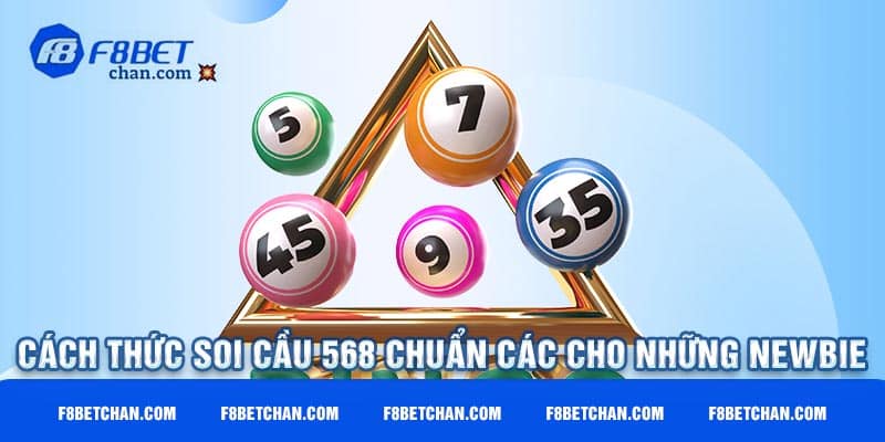 Cách thức soi cầu 568 chuẩn xác cho những Newbie 