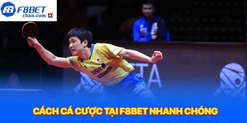 Cách cá cược tại F8bet nhanh chóng