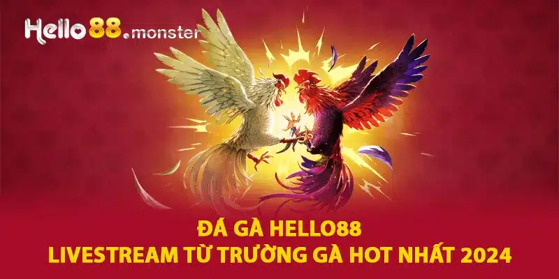 Đá gà hello88 liversteam từ trường gà hot nhất 2024